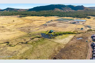 216 Cr 2311, Alpine, AZ 85920 - Photo 45