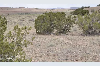 88B County Road 5035, Concho, AZ 85924 - Photo 1