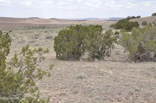 88B County Road 5035, Concho, AZ 85924 - Photo 1