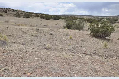 88B County Road 5035, Concho, AZ 85924 - Photo 11