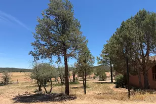 1849 Rocky Ln, Show Low, AZ 85901 - Photo 29