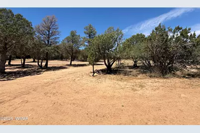 1849 Rocky Lane, Show Low, AZ 85901 - Photo 33