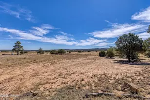 1849 Rocky Ln, Show Low, AZ 85901 - Photo 27