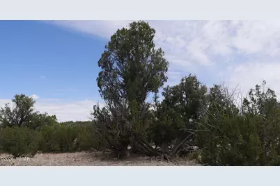 17 N7337, Saint Johns, AZ 85936 - Photo 23
