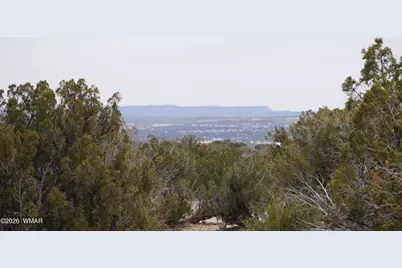 17 N7337, Saint Johns, AZ 85936 - Photo 3
