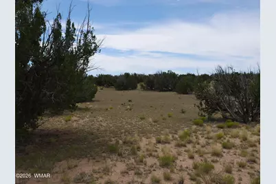 17 N7337, Saint Johns, AZ 85936 - Photo 21