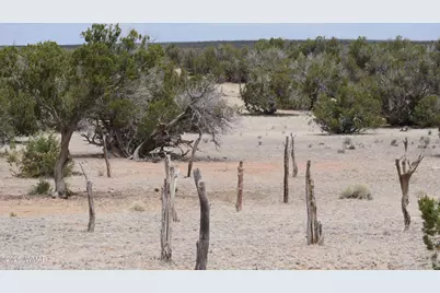 17 N7337, Saint Johns, AZ 85936 - Photo 11