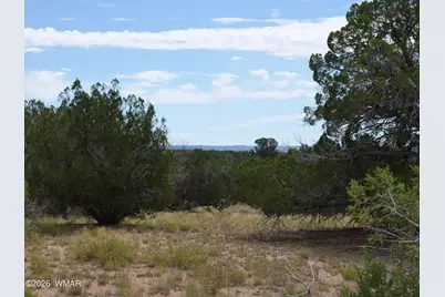 17 N7337, Saint Johns, AZ 85936 - Photo 19
