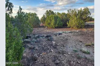 8761 Lance Drive, Show Low, AZ 85901 - Photo 13