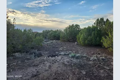 8761 Lance Drive, Show Low, AZ 85901 - Photo 15