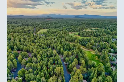 4266 Deep Forest Drive, Pinetop, AZ 85935 - Photo 3