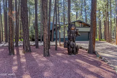 8085 Indian Bend Road, Pinetop, AZ 85935 - Photo 7