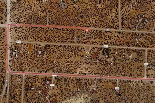 29 8027, Concho, AZ 85924 - Photo 31