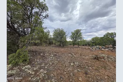 2075 Parker Ranch Road, Show Low, AZ 85901 - Photo 19