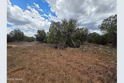 2075 Parker Ranch Road, Show Low, AZ 85901 - Photo 11