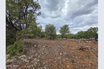 2075 Parker Ranch Road, Show Low, AZ 85901 - Photo 9