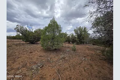 2075 Parker Ranch Road, Show Low, AZ 85901 - Photo 15