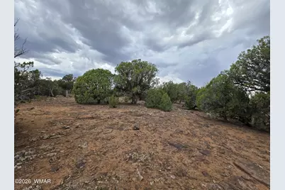 2075 Parker Ranch Road, Show Low, AZ 85901 - Photo 17