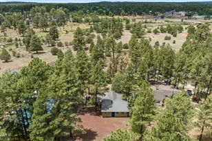 1724 Lyerly Ave, Lakeside, AZ 85929 - Photo 9