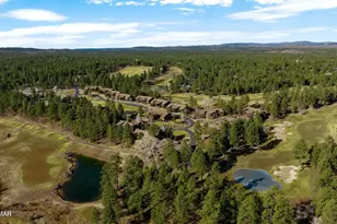 3050 W Black Oak Loop, Show Low, AZ 85901 - Photo 47