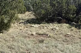10 NE N8715, Concho, AZ 85924 - Photo 1