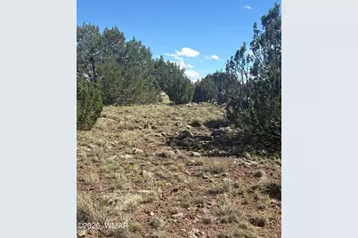 0201 County Road, Concho, AZ 85924 - Photo 3