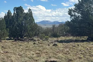 0201 County Rd, Concho, AZ 85924 - Photo 1