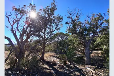 0203 County Road, Concho, AZ 85924 - Photo 1