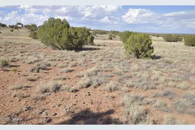 10 N9228, Concho, AZ 85924 - Photo 23