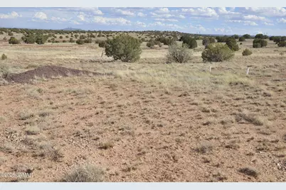 10 N9228, Concho, AZ 85924 - Photo 15