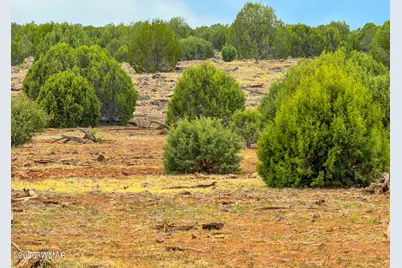 8063 Mustang Lane, Show Low, AZ 85901 - Photo 5