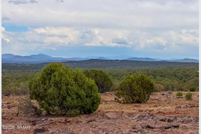 8063 Mustang Lane, Show Low, AZ 85901 - Photo 23
