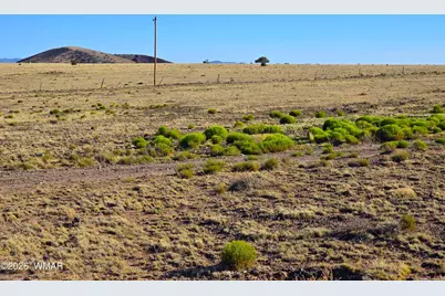 Lot 4 Cr 5074, Concho, AZ 85924 - Photo 3