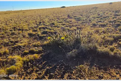 Lot 4 Cr 5074, Concho, AZ 85924 - Photo 9