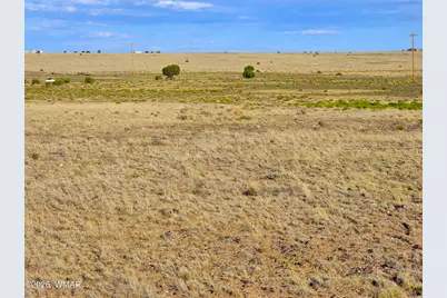 Lot 4 Cr 5074, Concho, AZ 85924 - Photo 5