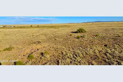 Lot 4 Cr 5074, Concho, AZ 85924 - Photo 7