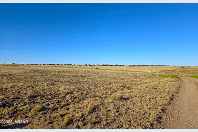Lot 4 Cr 5074, Concho, AZ 85924 - Photo 15