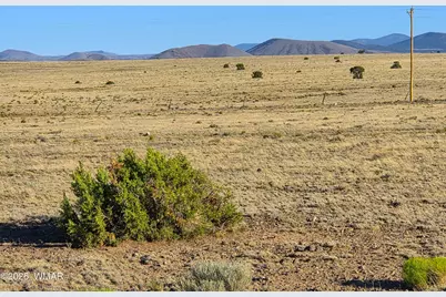 Lot 4 Cr 5074, Concho, AZ 85924 - Photo 19