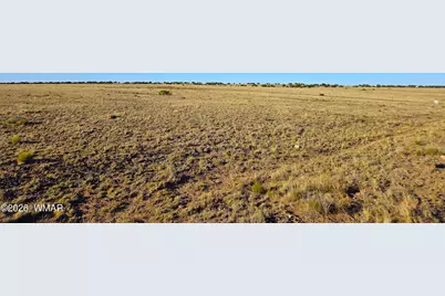 Lot 4 Cr 5074, Concho, AZ 85924 - Photo 13