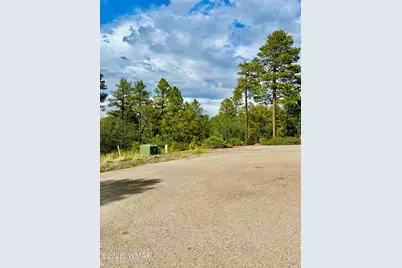 7026 Leo Lane, Lakeside, AZ 85929 - Photo 7