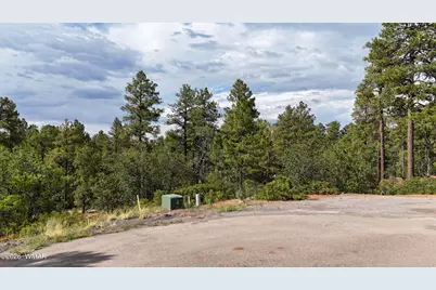 7026 Leo Lane, Lakeside, AZ 85929 - Photo 5
