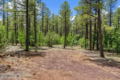 Tbd E Sawmill Drive, Pinetop, AZ 85935 - Photo 21