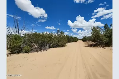 Lot 106 Witch Well Ranches, Unit 2 #2, Saint Johns, AZ 85936 - Photo 3