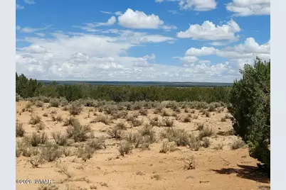 Lot 106 Witch Well Ranches, Unit 2 #2, Saint Johns, AZ 85936 - Photo 5