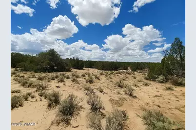 Lot 106 Witch Well Ranches, Unit 2 #2, Saint Johns, AZ 85936 - Photo 7