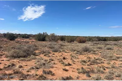 3170 Old Woodruff Road, Snowflake, AZ 85937 - Photo 3