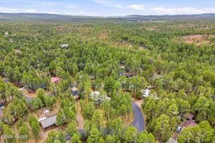 921 N 46th Dr, Show Low, AZ 85901 - Photo 33