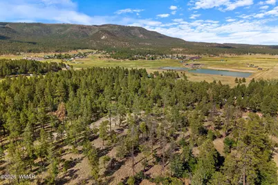 000 Cr 2193, Alpine, AZ 85920 - Photo 5