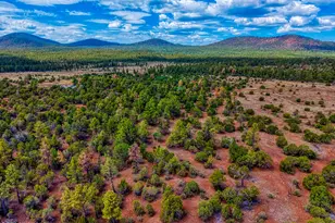 4 N 3163, Vernon, AZ 85940 - Photo 3
