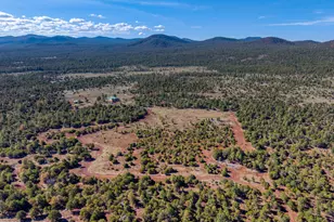 4 N 3163, Vernon, AZ 85940 - Photo 11